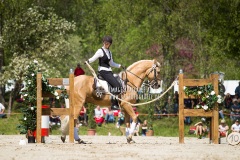 working_equitation_speed_trial_virginie_dubus_on_olienco