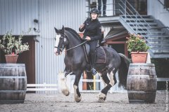 IMG_1221