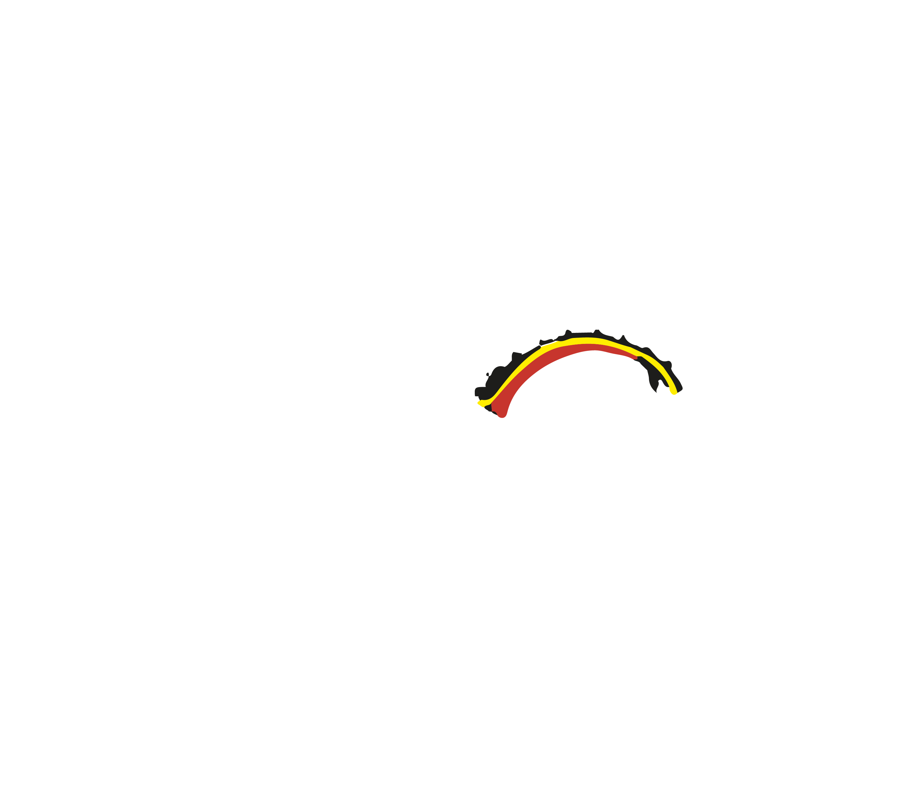 WEB Working Equitation Belgium
