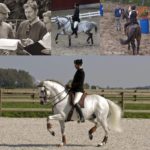 STAGE - Le Dressage en Equitation de Travail par Léoplod Gombeer