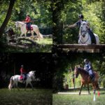 2/05 - Concours/Entrainement: Equitation de Travail au CE La Canardière