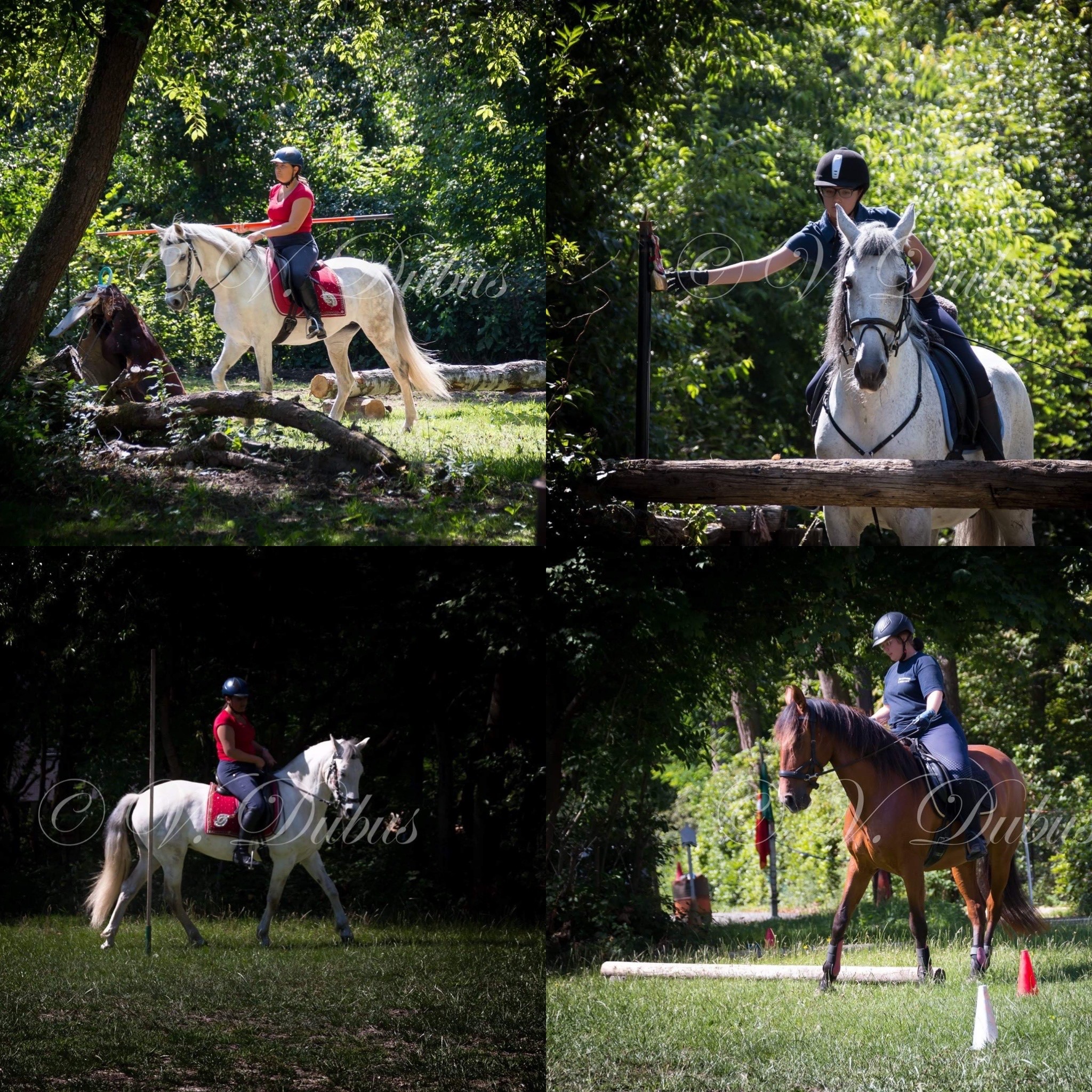 2/05 - Concours/Entrainement: Equitation de Travail au CE La Canardière