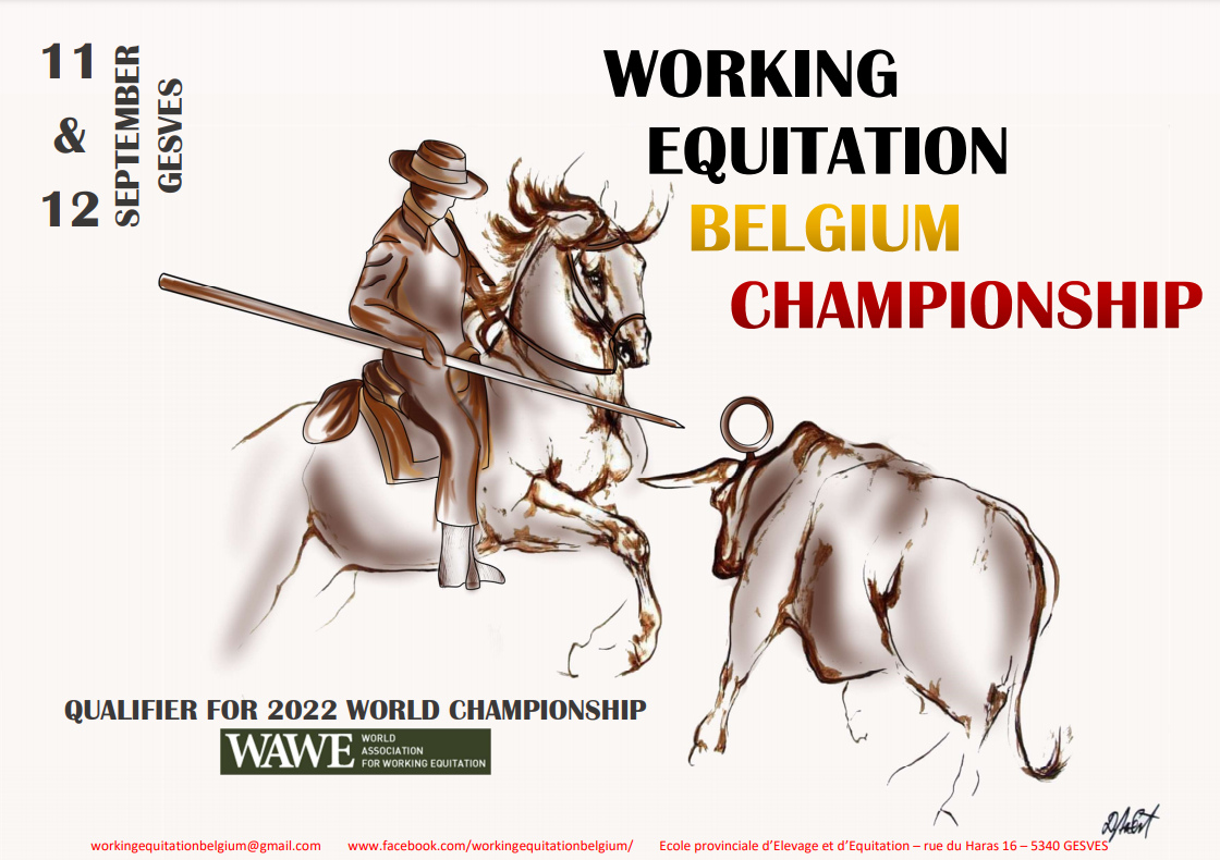 Working Equitation Belgium Championship
