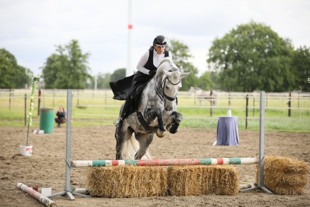 FINALE Nationale Equitation de Travail - 24 & 25 septembre Massenhoven