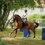 COMPETITION n°8 niveau WE0 à WE4 - ETAP Braine-le-Château