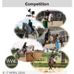 COMPETITION N°1 - FWE Massenhoven