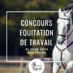COMPETITION N°4 - ETAP Bastogne