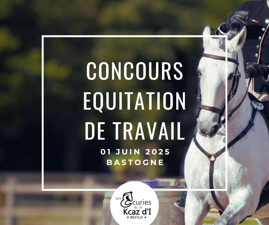 COMPETITION N°4 - ETAP Bastogne