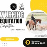 COMPETITION N°6 - ETAP : Bastogne 2026