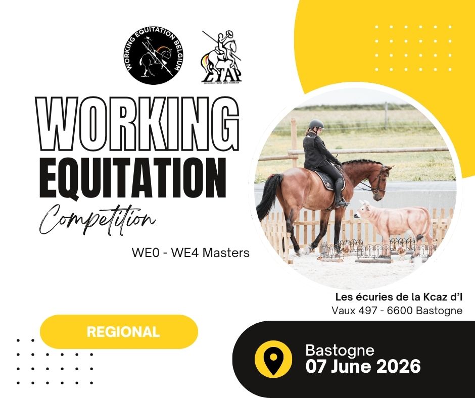 COMPETITION N°6 - ETAP : Bastogne 2026