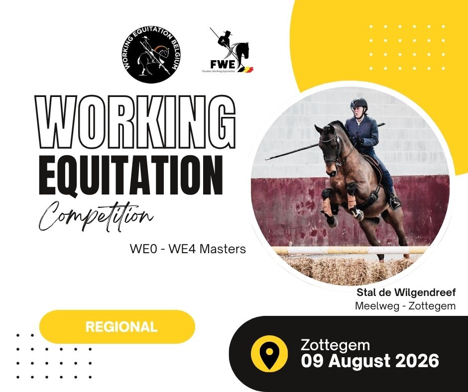 COMPETITION N°8 - FWE : Zottegem 2026