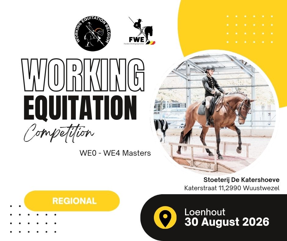 COMPETITION N°8 - FWE : Loenhout 2026